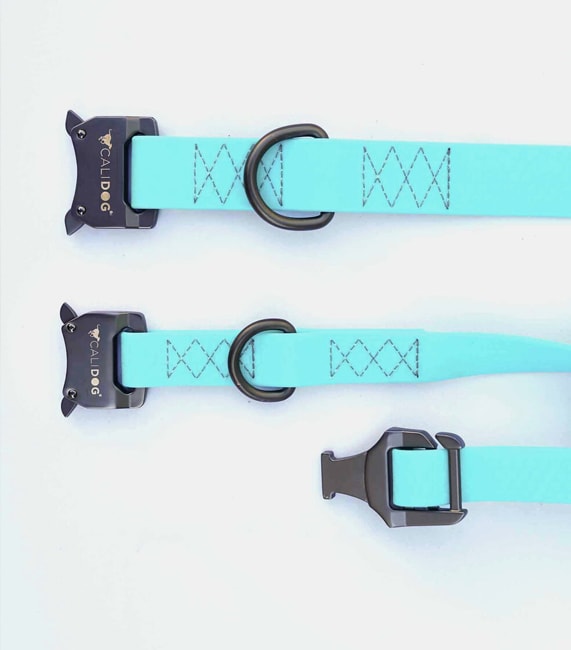 Aquamarine CaliDog Waterproof Collar