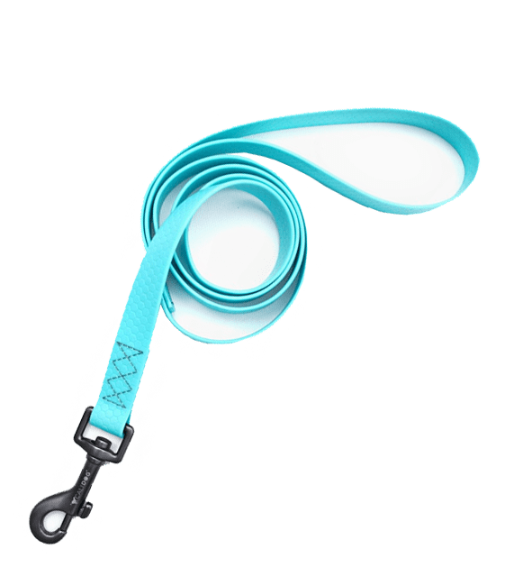 Aquamarine CaliDog Waterproof Leash