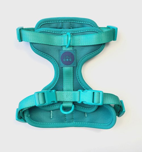 Aquamarine CaliDog Waterproof Harness and Leash Set